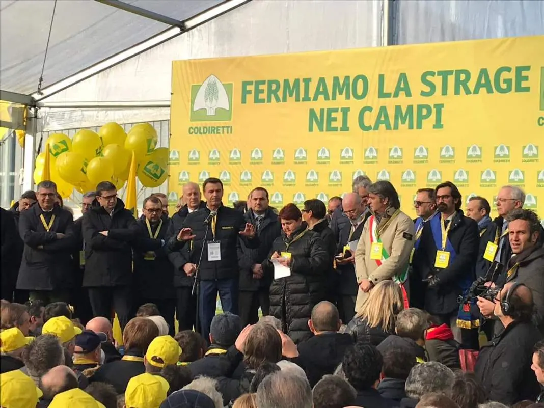 Rapporto Coldiretti insetti alieni agricoltura 2020